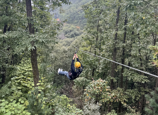 [스포츠여가지원팀] 짚라인 체험 썸네일