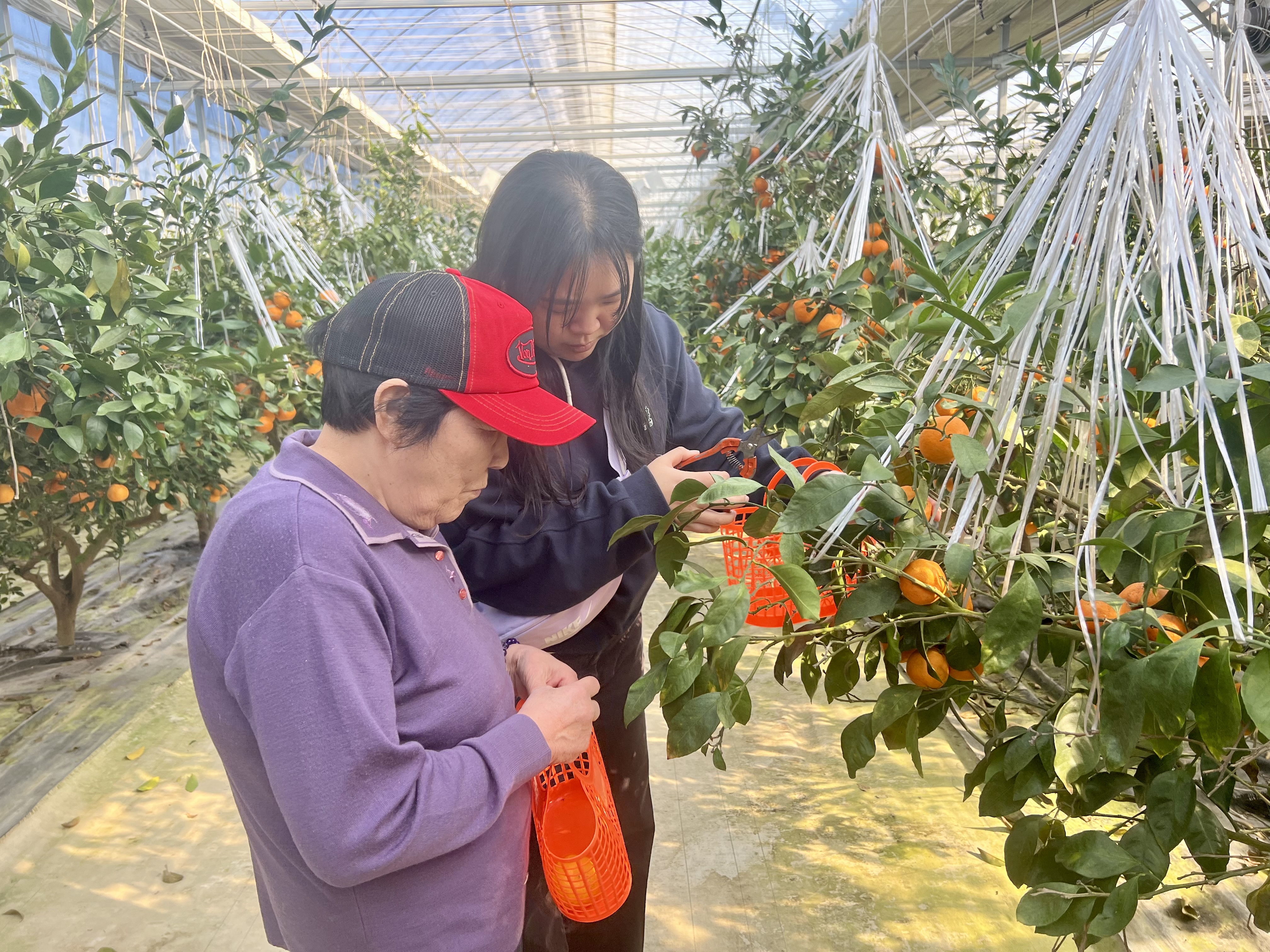 [노인복지팀] 2025년 11월 야외 나들이 진행 썸네일